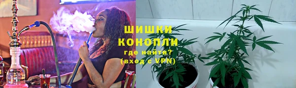 твердый Алзамай