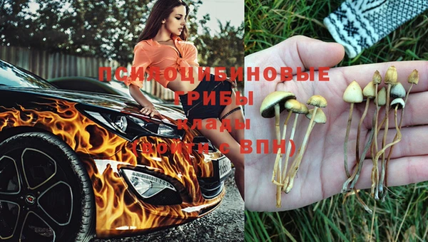 соль курить ск Михайловка